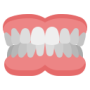 denture